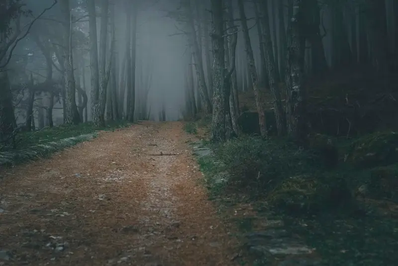 what are healing journey stories